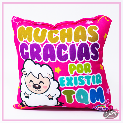 Almohada Especial De Amor